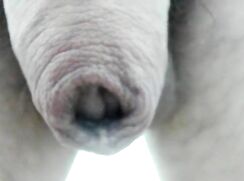 Lovely wrinkled foreskin