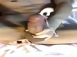 massive cum shots