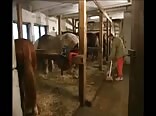 Meltdown gay porn jocks fucking at a ski resort