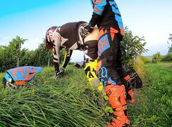 Motocross Buds Fuck