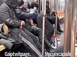 NYC Subway The new eco train ticket means no one is straight anymore