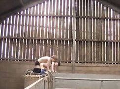 ^On the farm - 009