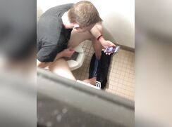 Over the stall wall