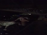 park action