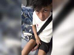 pedrolopvs onibus