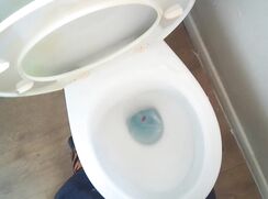 piss fetish