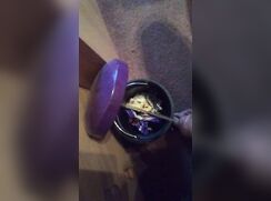 Piss in the Bin