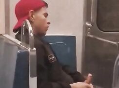 Public - Train wanking