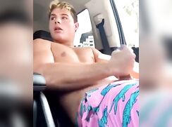 Release the Gator