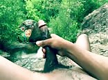 rock and a hard place