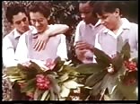 Sacré Collège Gay Porn Videos