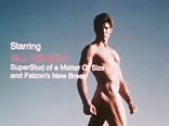 Sailor In The Wild 1983 Gay Porn Videos