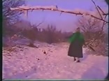 Schnee Gestöber