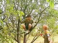 ♥ Scouts pounding Each Other ♥