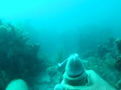 Scuba Cum porn