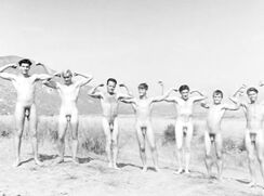Seven nude athlets