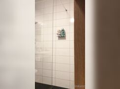 Shower Cum Cleaner