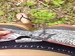 Skype 18yo outside piss and cum boys porn