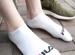 socks survey