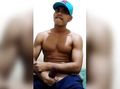 Solo 184