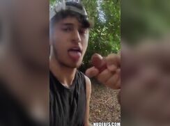 Southern Jay Sucks