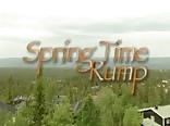 Springtime Rump