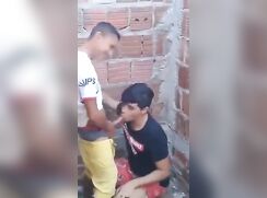 Suce bite