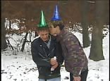Sylvester and Knaller