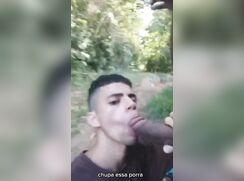 take him boy..
