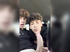 Taste Of Cock GBT