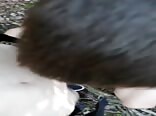 Teen getting his monster cock sucked by his friend boys porn
