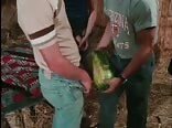 Tex Anthony Fucks A Watermelon