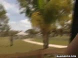 The Bait Bus-Gay Tube