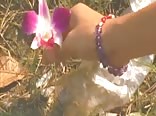 the blossoming of maximo