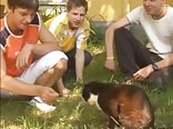 The Garden tino teen boys gay porn