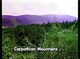 The Plowboys Gay Porn Video Twinks