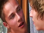 The sunflowers of Love Gay Porn Videos