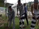 The Work Detail Gay Porn Videos