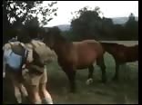 Those Horny BoyScouts full Gay Porn Movie