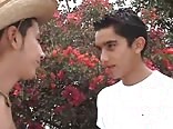 Twink´s Box