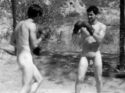 Two athletes boxing