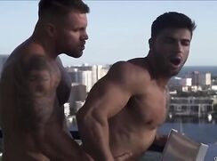 Two hunks do it everywhere