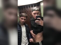 UK Joey Essex?