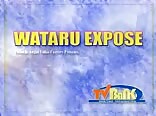 Unmasked Vintage Japanese Gay porn. WATARU Film