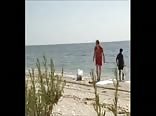 Vacation beach