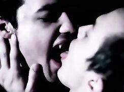 Vampires.....