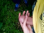 watering the grass