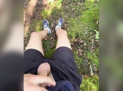 What I see in the Woods