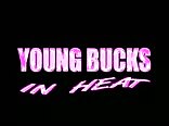 Young Bucks Gay Porn Videos