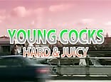 Young Cocks - Hard And Juice ( Full German Gay Porn)